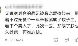 娱乐大爆料文案怎么写的,明星幕后故事大公开